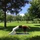 Yoga im Park am Weyerfeld in St. Veit an der Glan mit Yogatrainerin MiaNamaste.